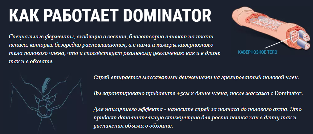 Доминатор – механизм действия