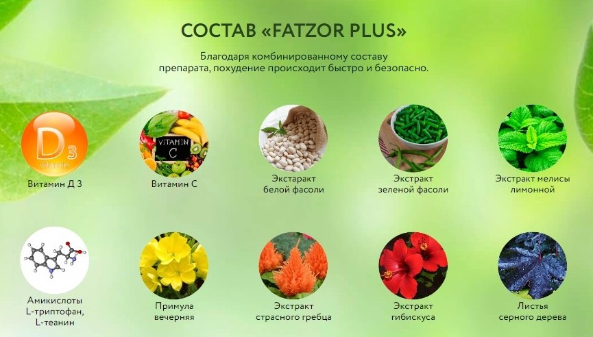 Fatzor Plus для похудения состав