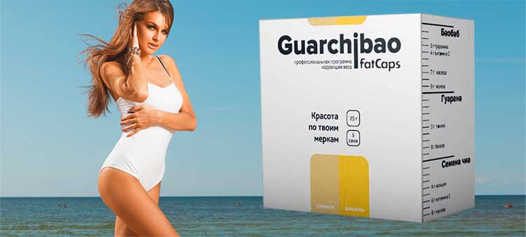 Основной вид программы Guarchibao FatCaps