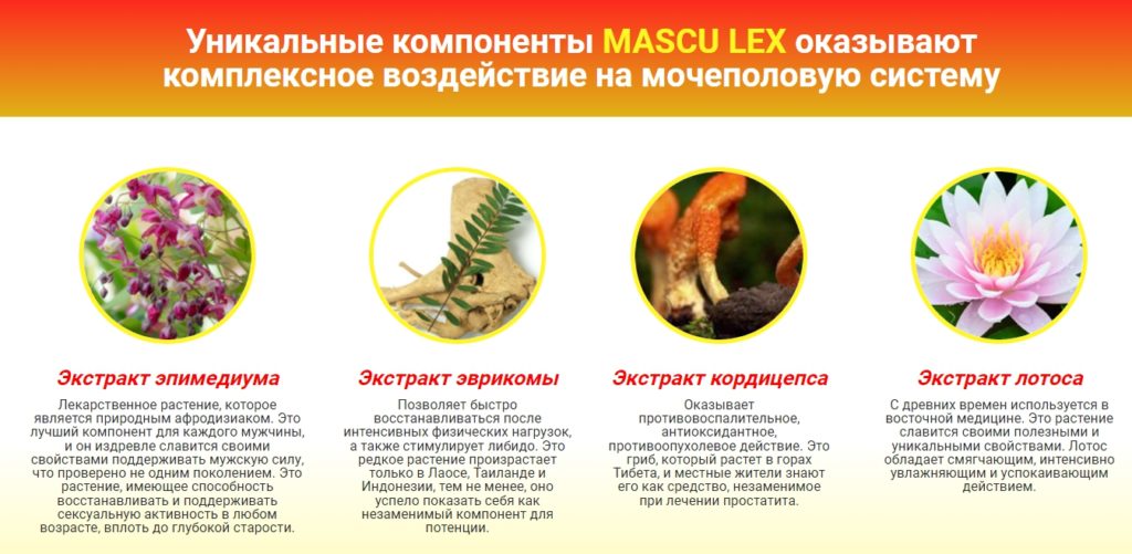 состав препарата для мужчин mascu lex