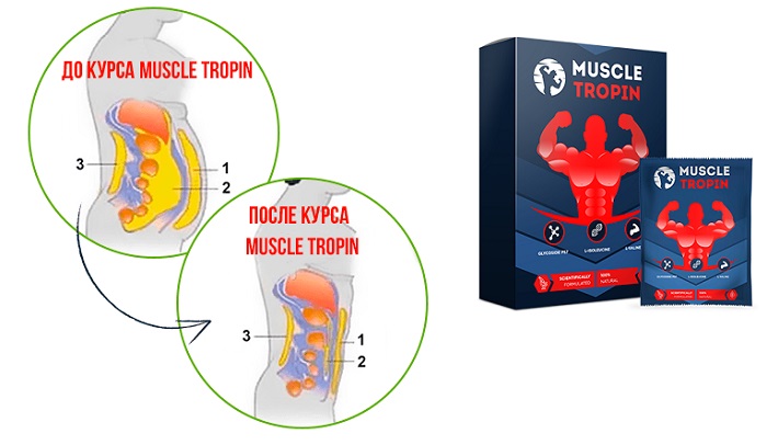 Muscle Tropin для накачки мышц: как быстро нарастить бицепсы и сбросить лишний жир!